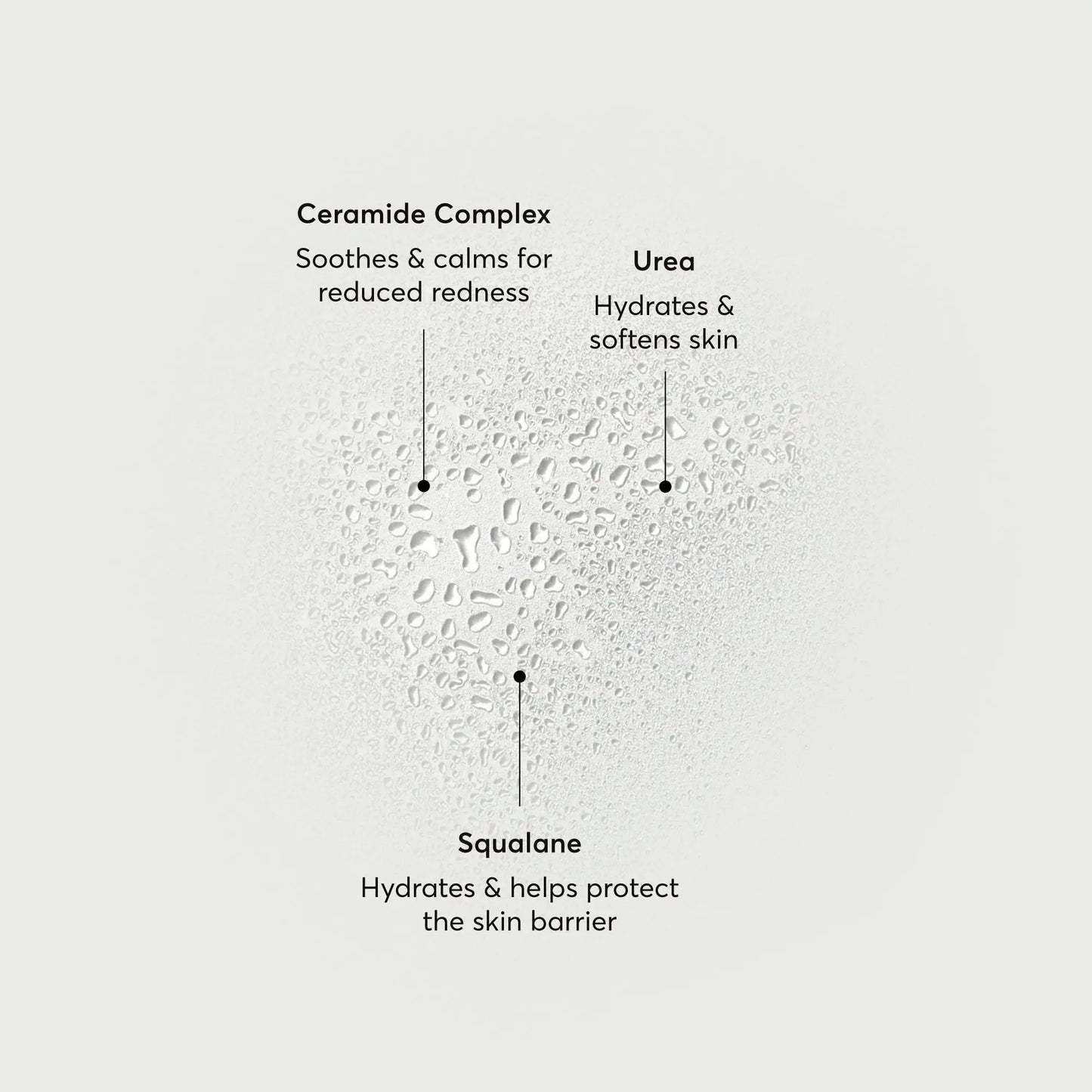 barrier-bounce-bi-phase-mist-f8 NATR-10167-Alt-Images-Barrier-Bounce-Bi-Phase-Toner-Mist_01.webp