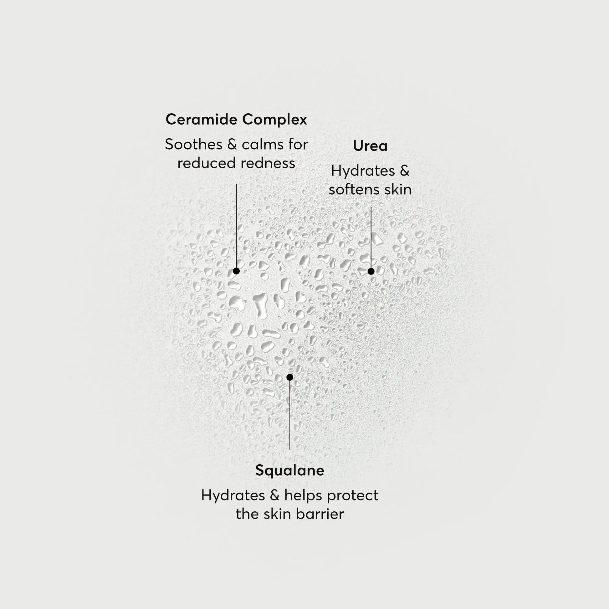 barrier-bounce-bi-phase-mist-f8 NATR-10167-Alt-Images-Barrier-Bounce-Bi-Phase-Toner-Mist_01.webp
