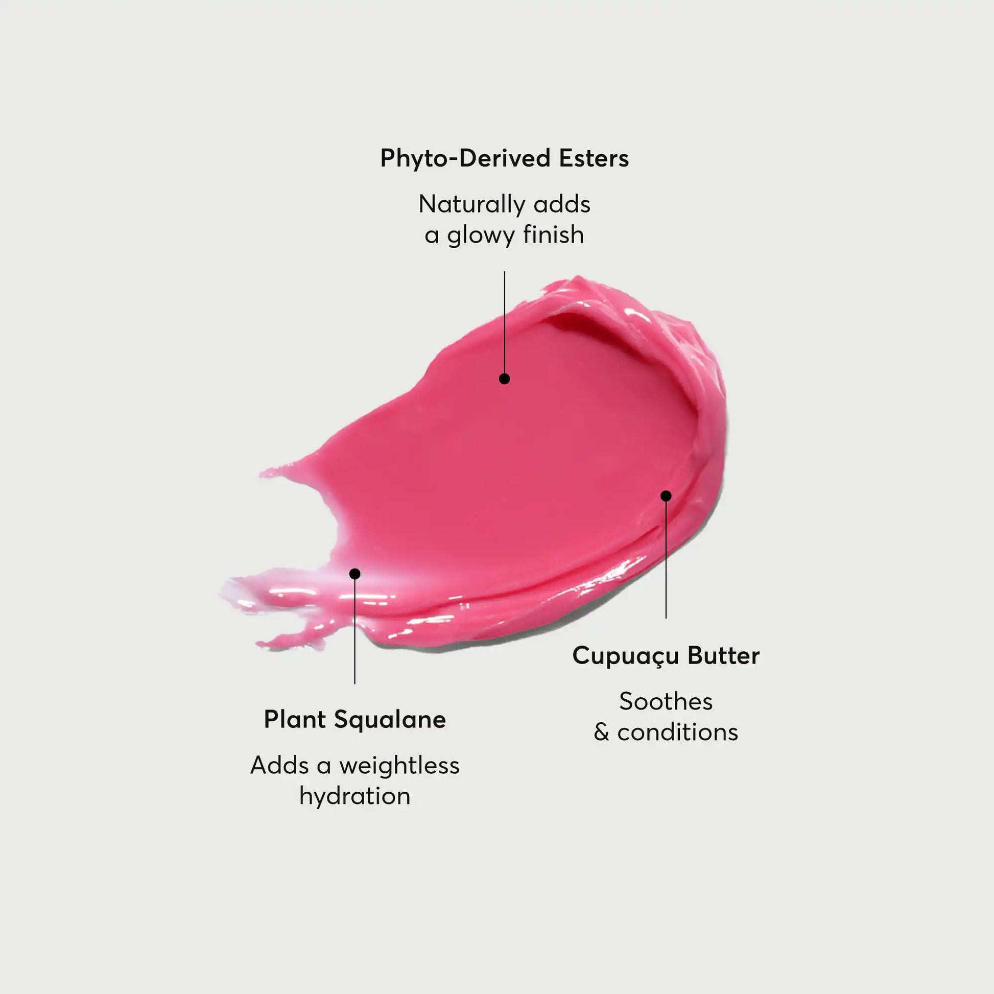 phyto-glow-lip-balm-camellia-j9 NATR-60075-Alt-Images-Phyto-Glow-Lip-Balm-Camellia-01.webp